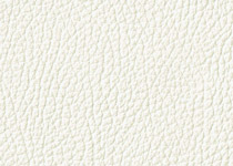 Pelle spessorata colore 3010 Panna