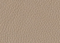 Pelle spessorata colore 3014 Deserto
