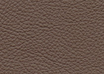 Pelle spessorata colore 3016 Fango