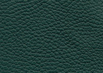 Pelle spessorata colore 3021 Foresta