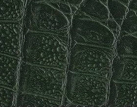 Pelle pitone colore Verde