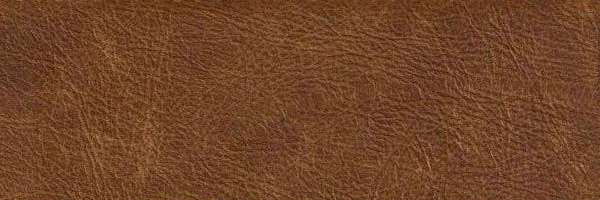 Pelle Sauvage colore Camel