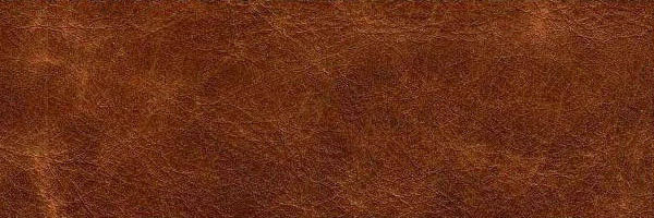 Pelle Sauvage colore Ranch